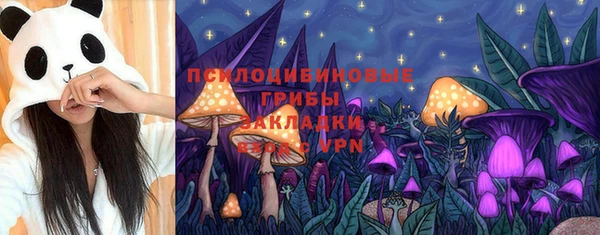 стафф Аркадак