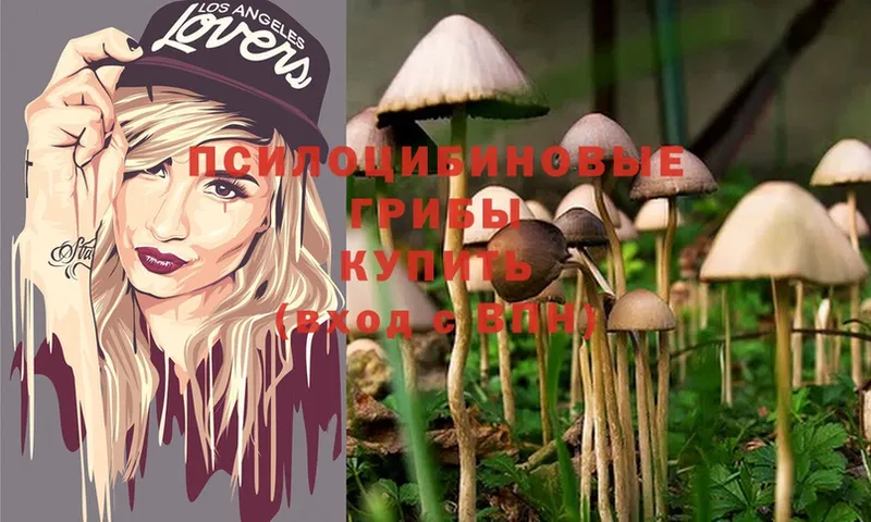 Псилоцибиновые грибы Magic Shrooms  Белый 